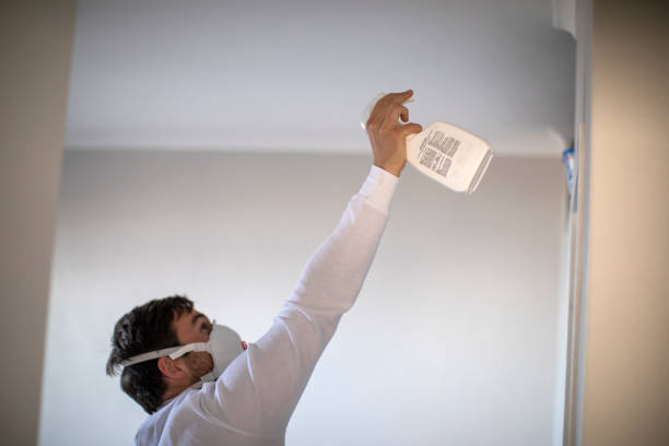 Bradford, TN Mold Remediation Company